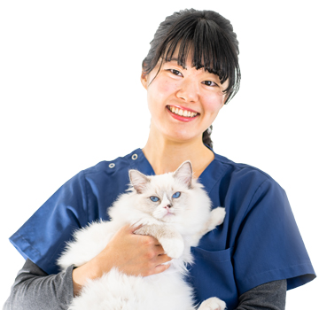 山口 綾実