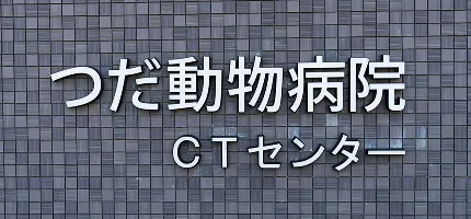 コラムメインビジュアル