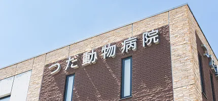 英語ページメインビジュアル