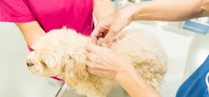 初診の方へメインビジュアル