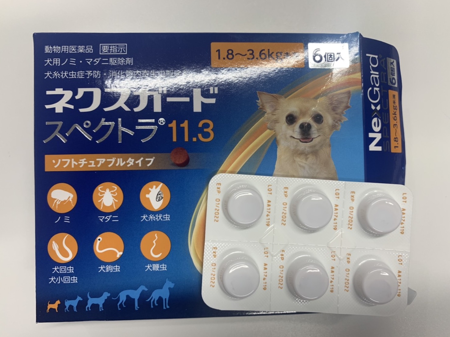 フィラリアの薬はどのタイプ 横須賀市のつだ動物病院