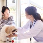 獣医師と飼い主