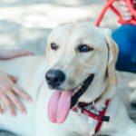 散歩中の一休み