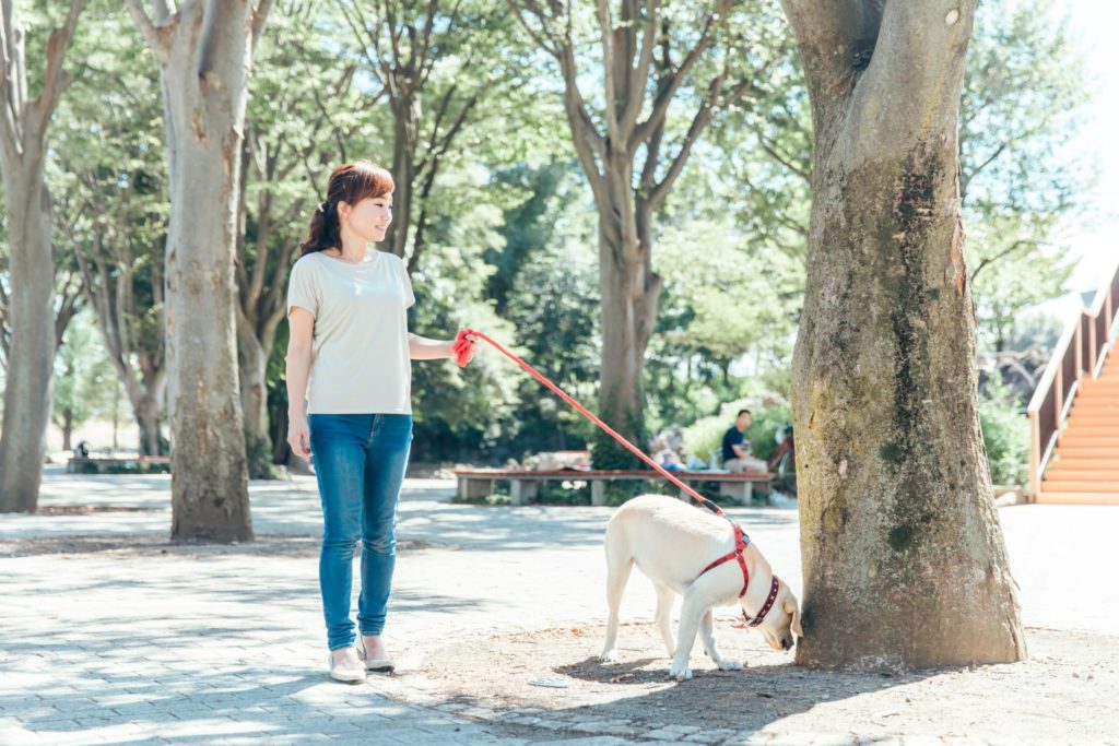 愛犬と散歩する女性
