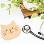 動物病院のイメージ画像