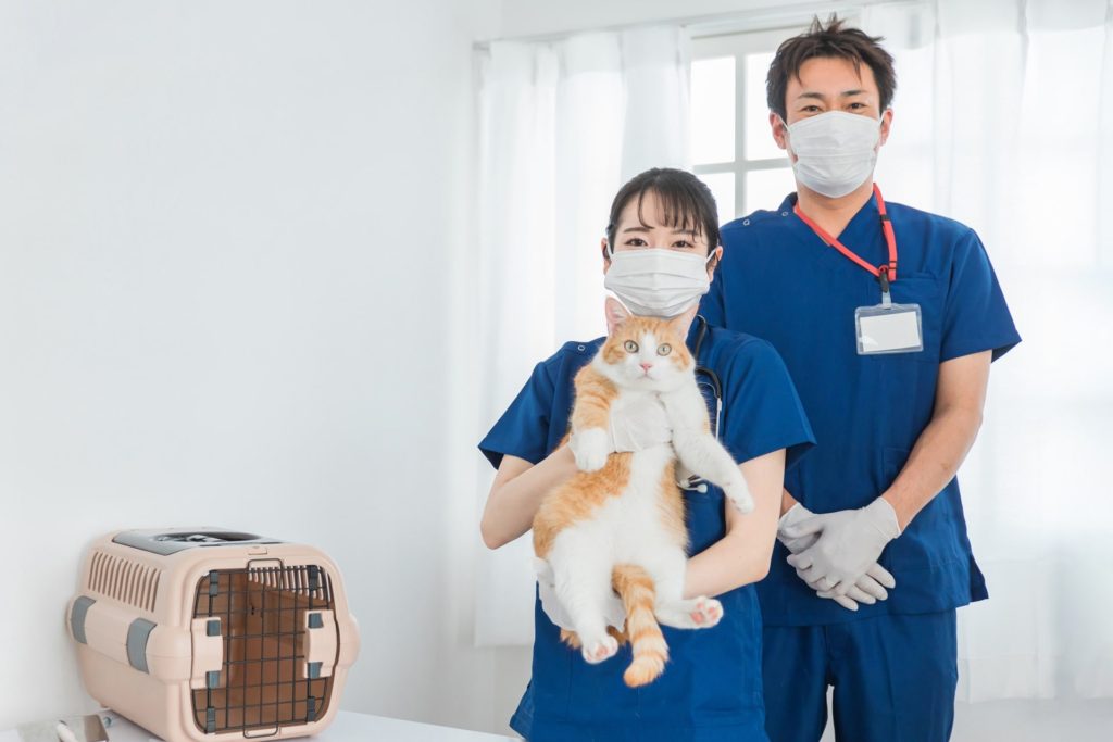 病院スタッフと猫