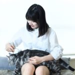 猫をブラッシングする飼い主様