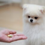 ペット用ボーロで福豆を代用