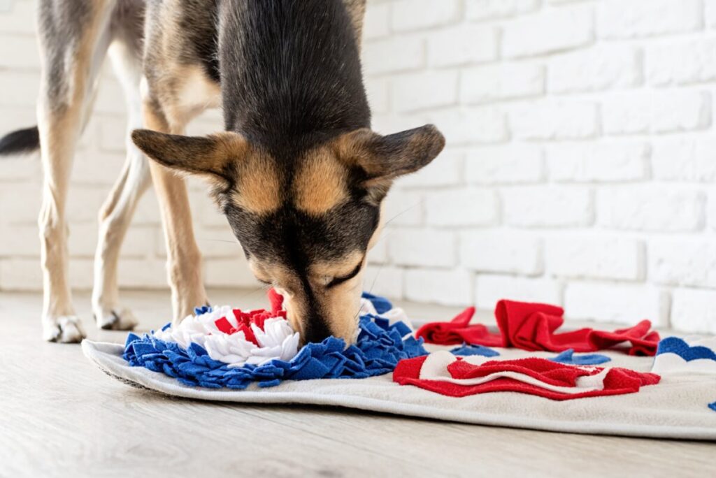 室内でゲームをする犬