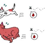 蚊から逃げる犬猫