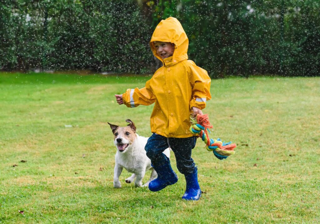 小雨の中で遊ぶ犬と子ども