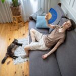 夏バテする猫と飼い主様