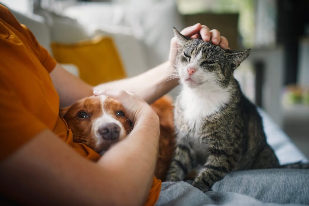 犬と猫を抱く飼い主様
