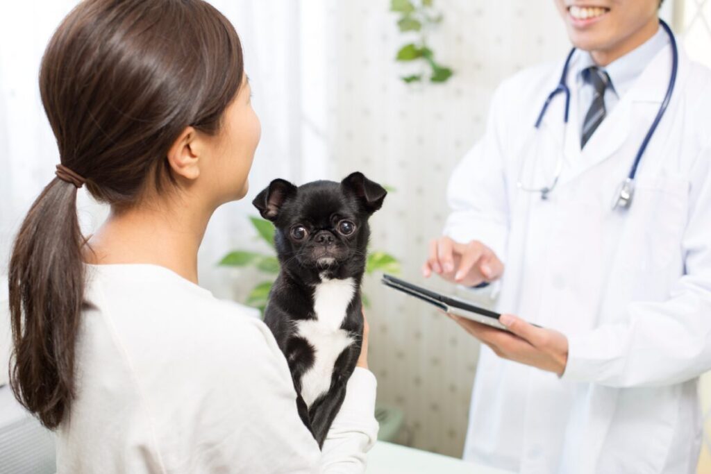犬を抱く飼い主と獣医師