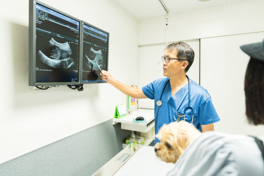 セカンドオピニオン