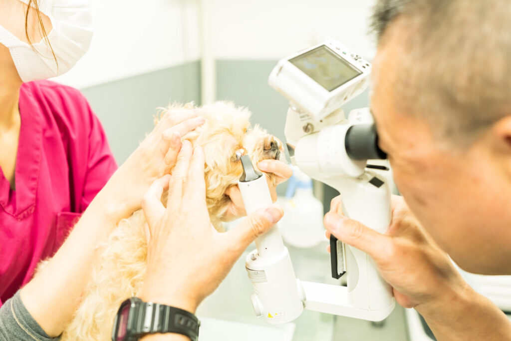 地域での役割と提供する医療体制