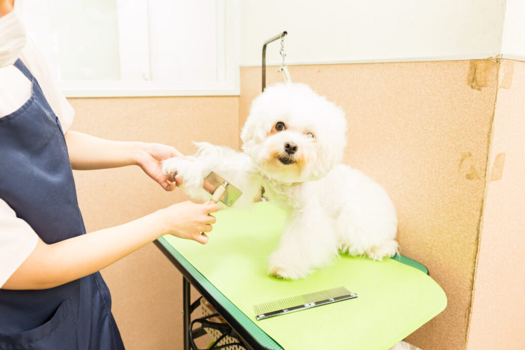 その他サービス