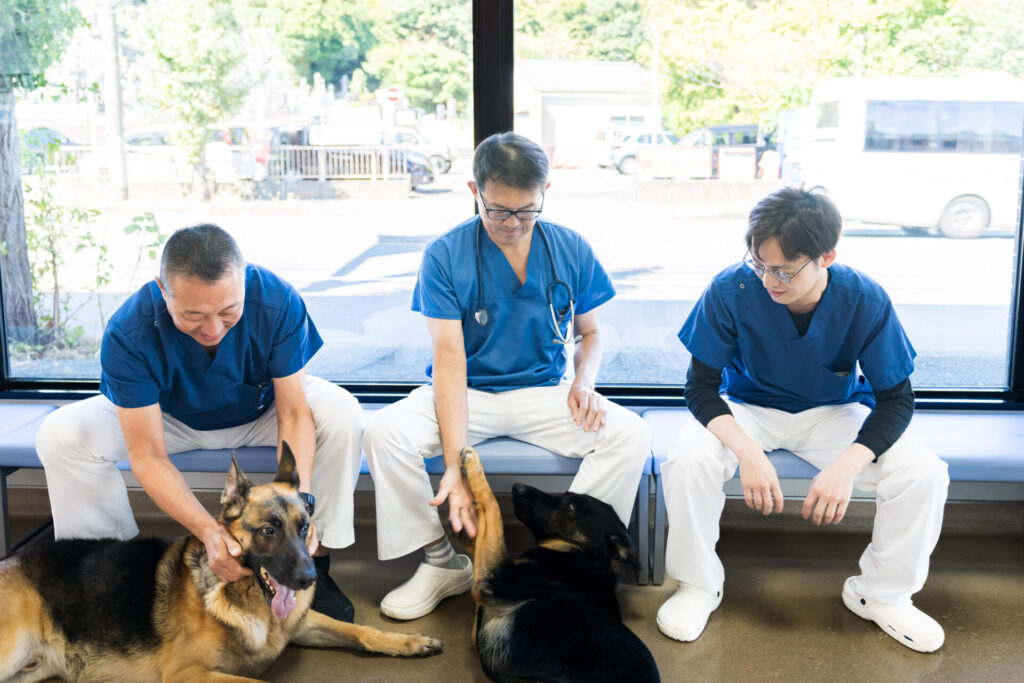 トータルケアの考え方