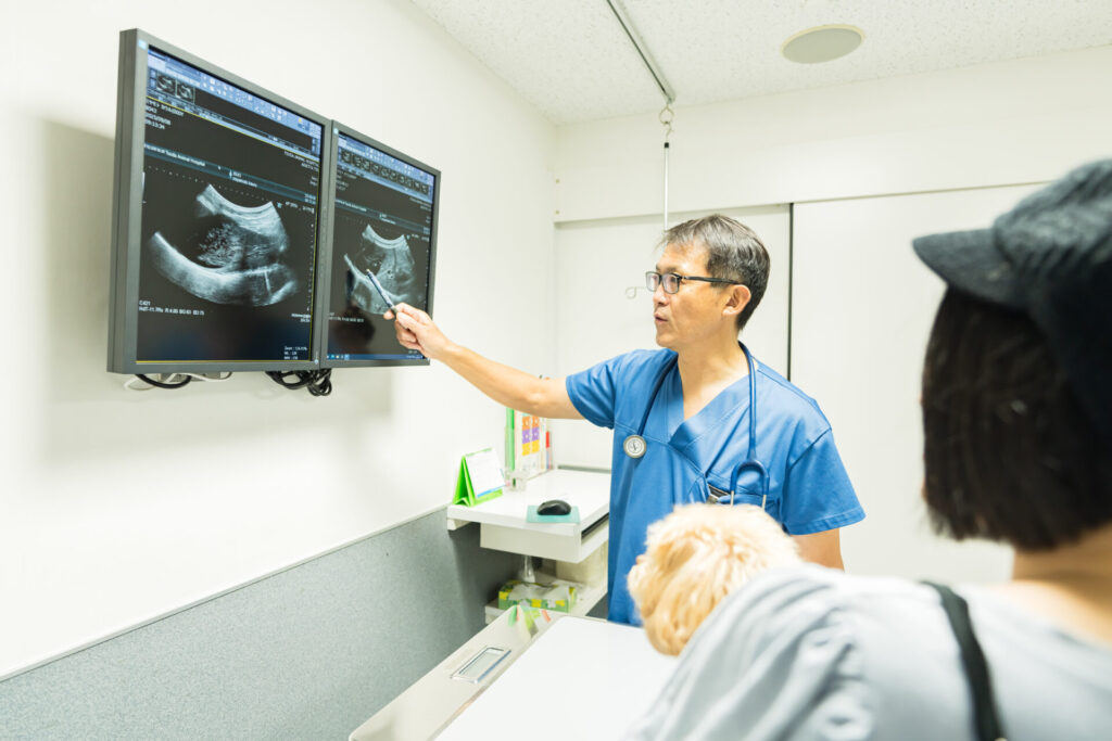 配慮の行き届いた診察室