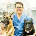 リニューアルのお知らせ